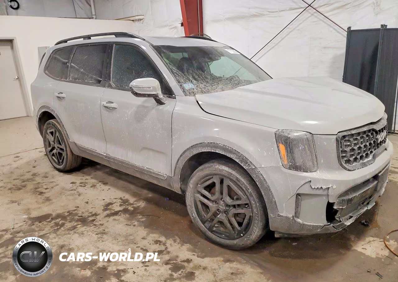 2024 Kia Telluride VIN:5XYP3DGCXRG535969 - 4