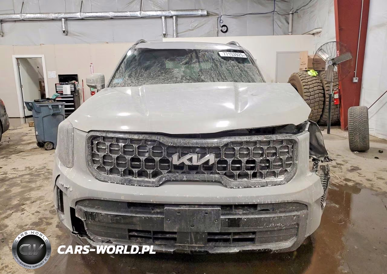 2024 Kia Telluride VIN:5XYP3DGCXRG535969 - 5