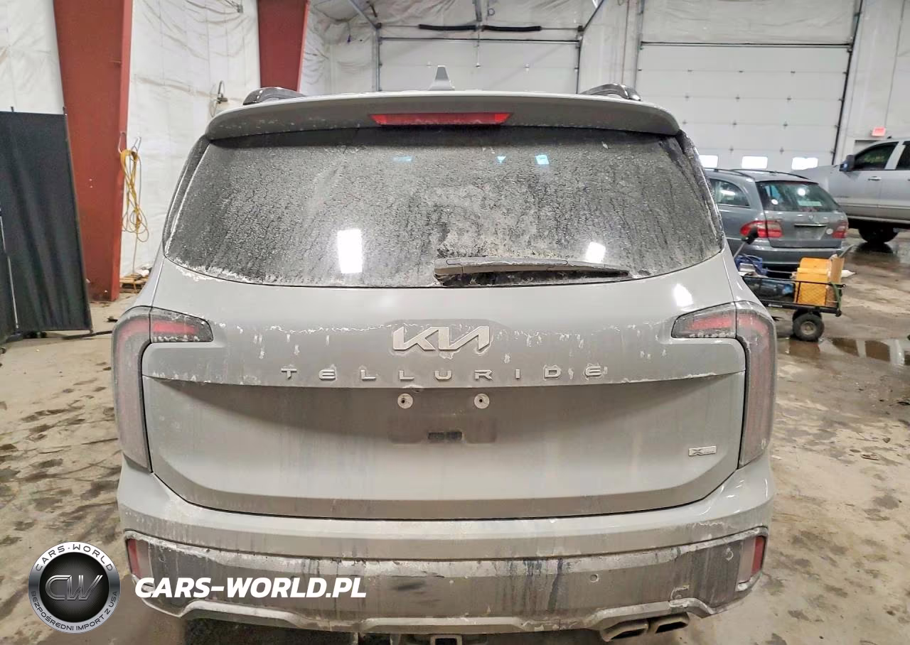 2024 Kia Telluride VIN:5XYP3DGCXRG535969 - 6