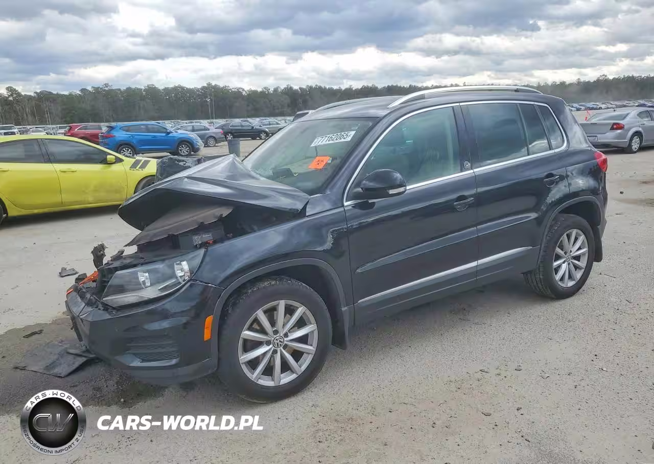 2017 Volkswagen Tiguan Wolfsburg