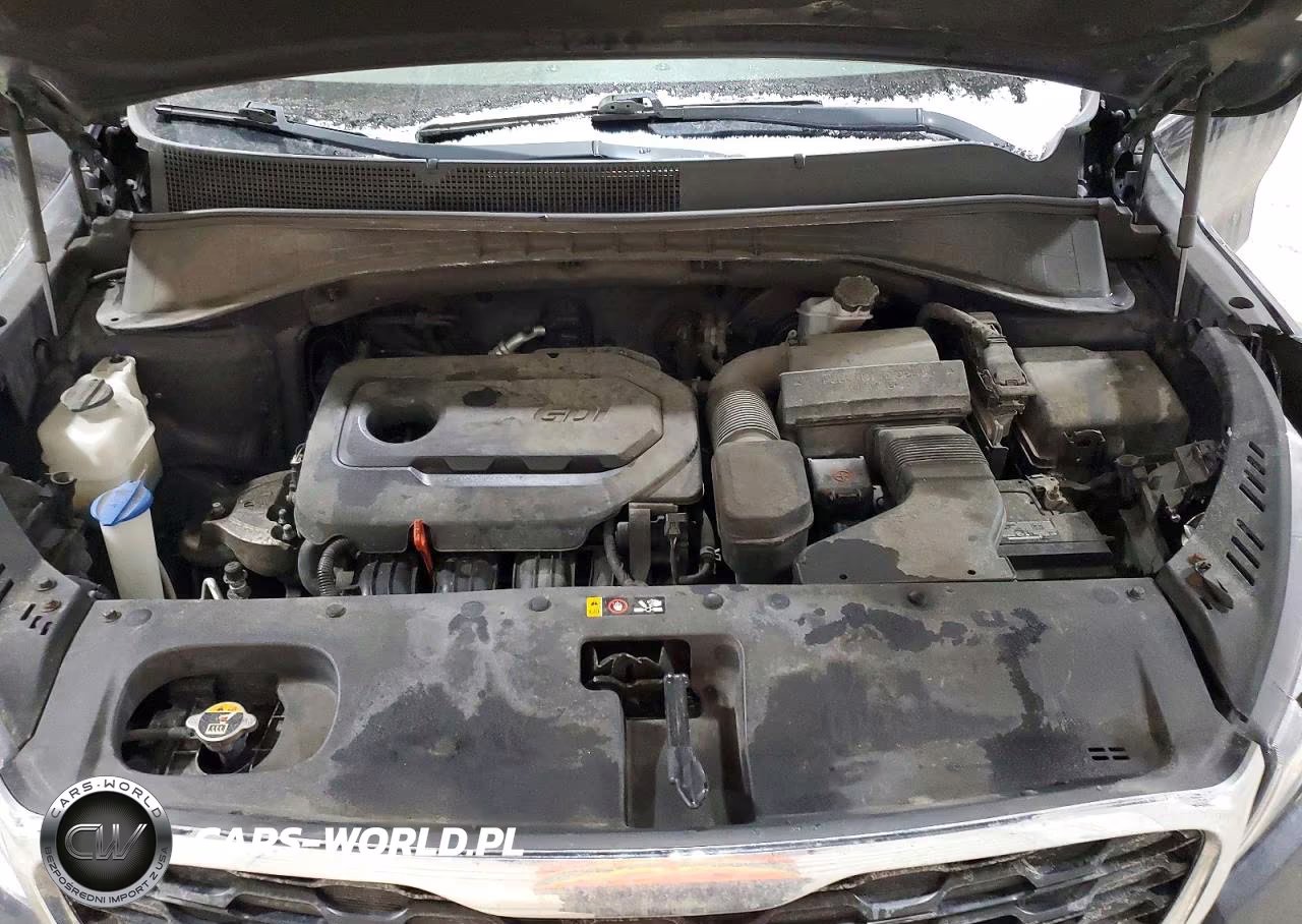 2019 Kia Sorento L VIN:5XYPG4A37KG516332 - 12