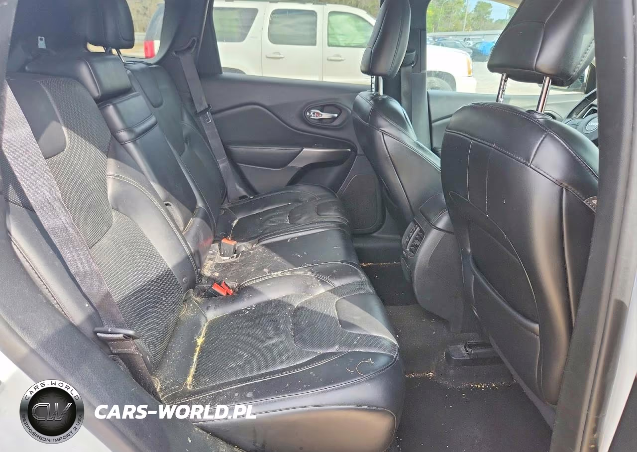 2019 Jeep Cherokee Limited VIN:1C4PJMDX9KD283973 - 11