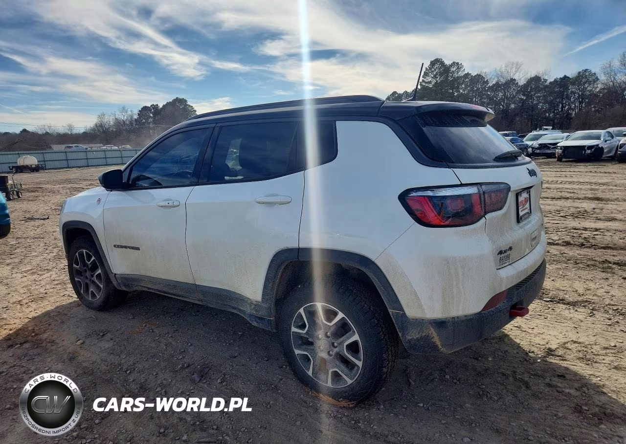 2020 Jeep Compass Trailhawk VIN:3C4NJDDB6LT166780 - 2