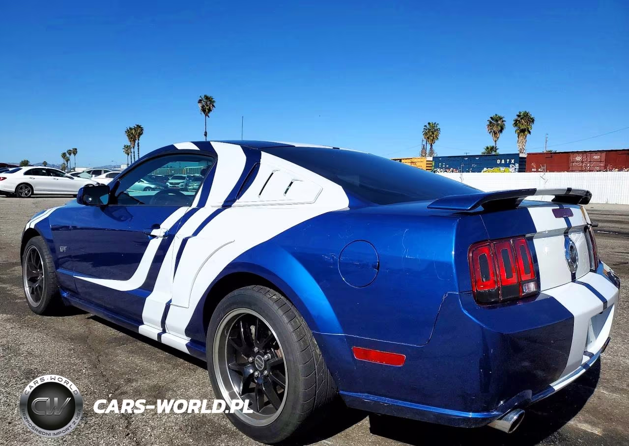 2006 Ford Mustang Gt VIN:1ZVHT82H965157501 - 2