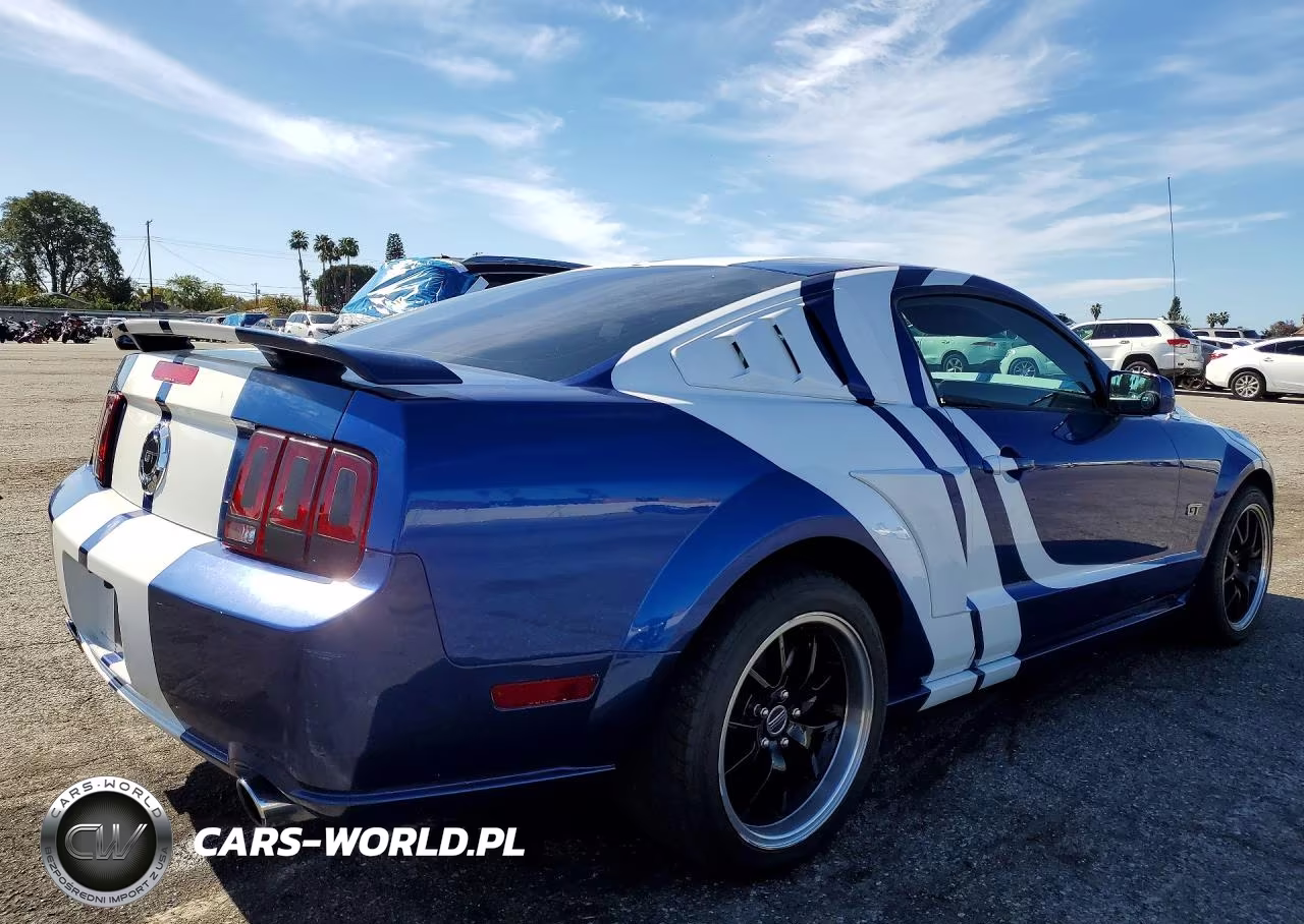 2006 Ford Mustang Gt VIN:1ZVHT82H965157501 - 3