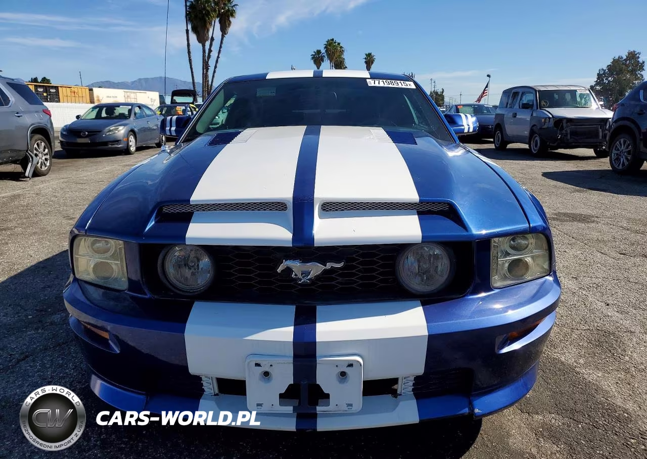 2006 Ford Mustang Gt VIN:1ZVHT82H965157501 - 5