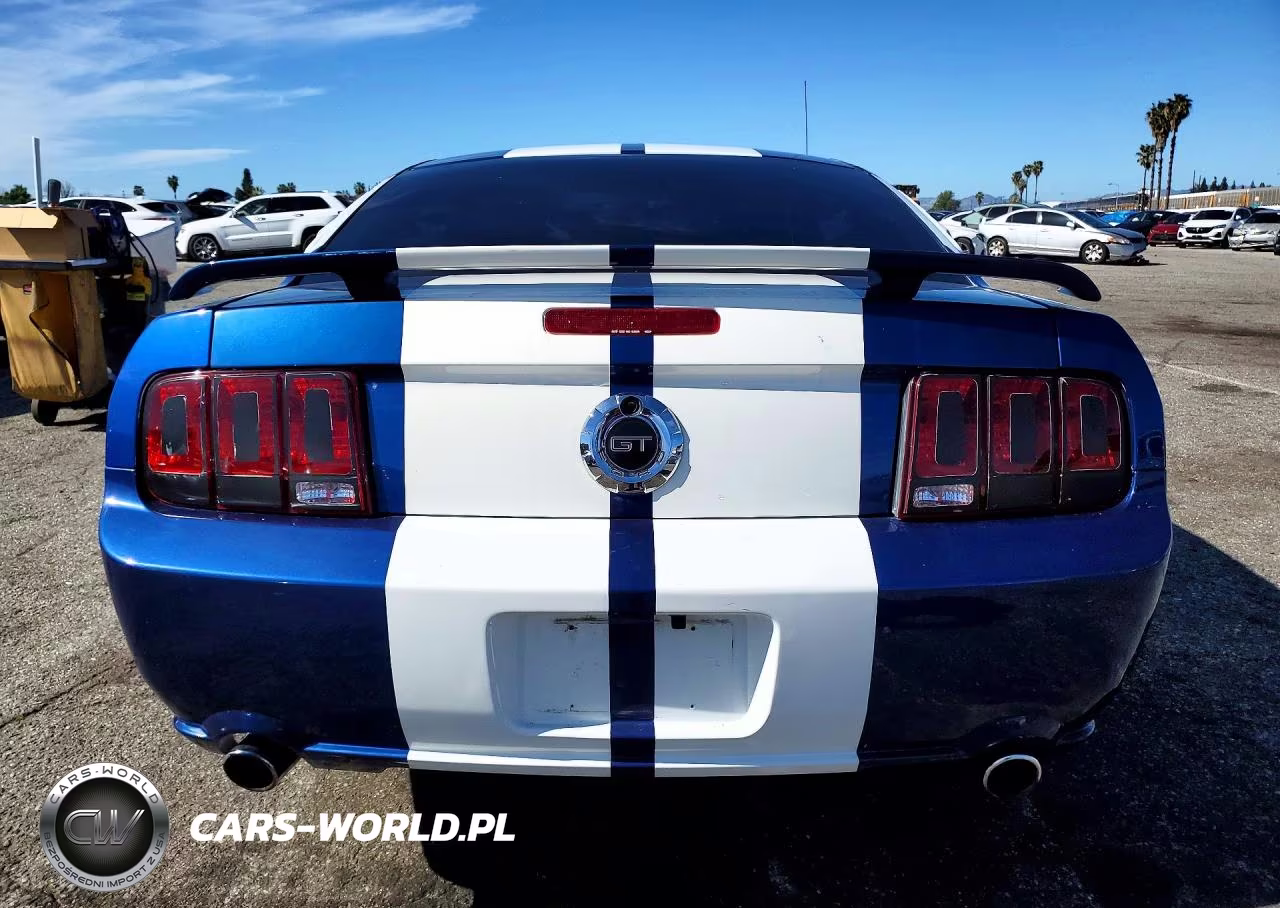 2006 Ford Mustang Gt VIN:1ZVHT82H965157501 - 6