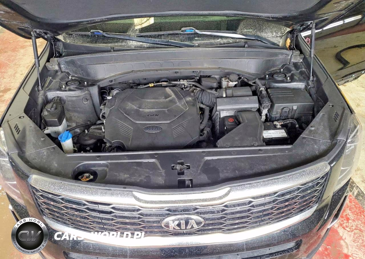 2020 Kia Telluride Ex VIN:5XYP3DHC7LG014214 - 12