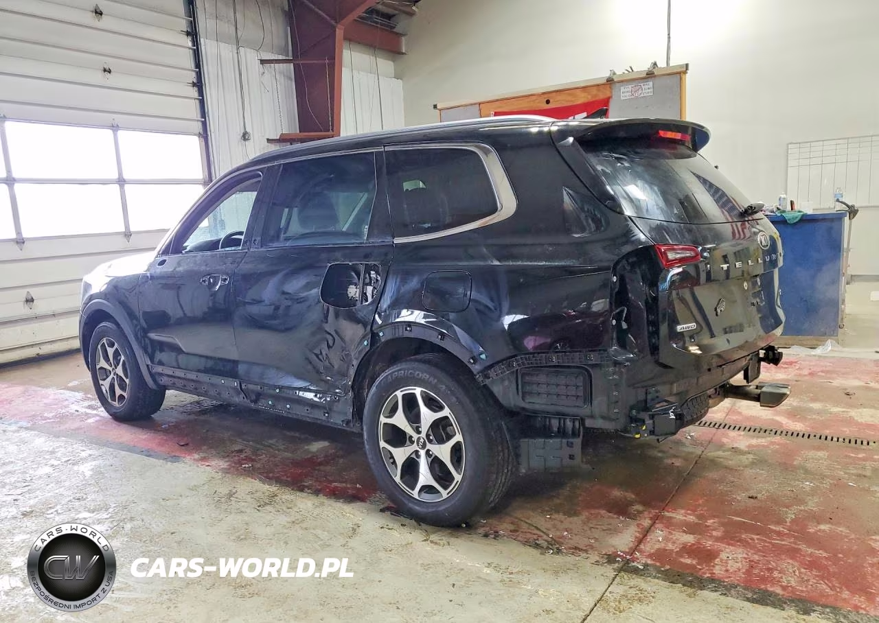 2020 Kia Telluride Ex VIN:5XYP3DHC7LG014214 - 2