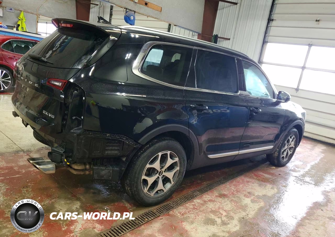 2020 Kia Telluride Ex VIN:5XYP3DHC7LG014214 - 3