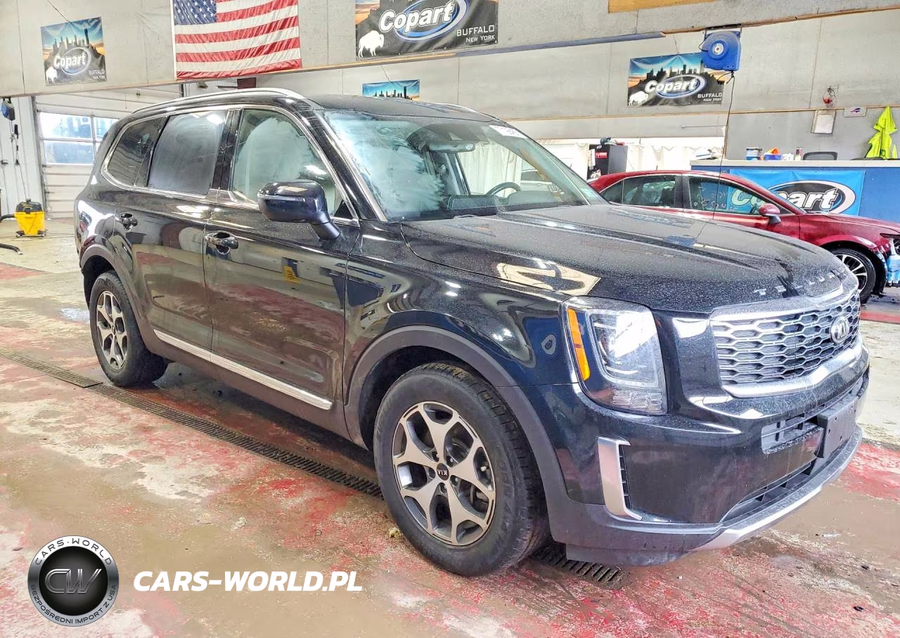 2020 Kia Telluride Ex VIN:5XYP3DHC7LG014214 - 4