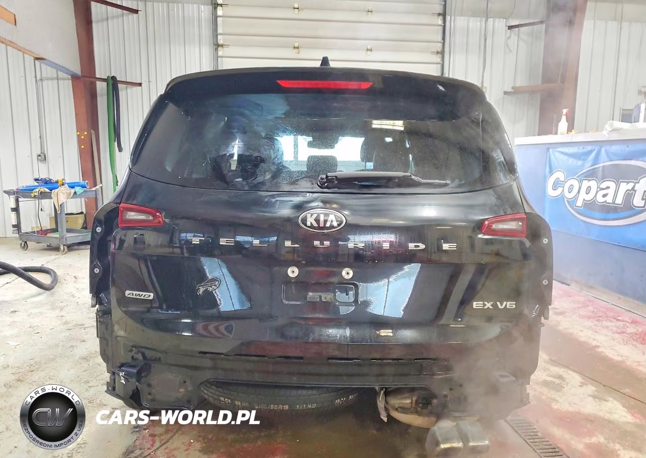 2020 Kia Telluride Ex VIN:5XYP3DHC7LG014214 - 6