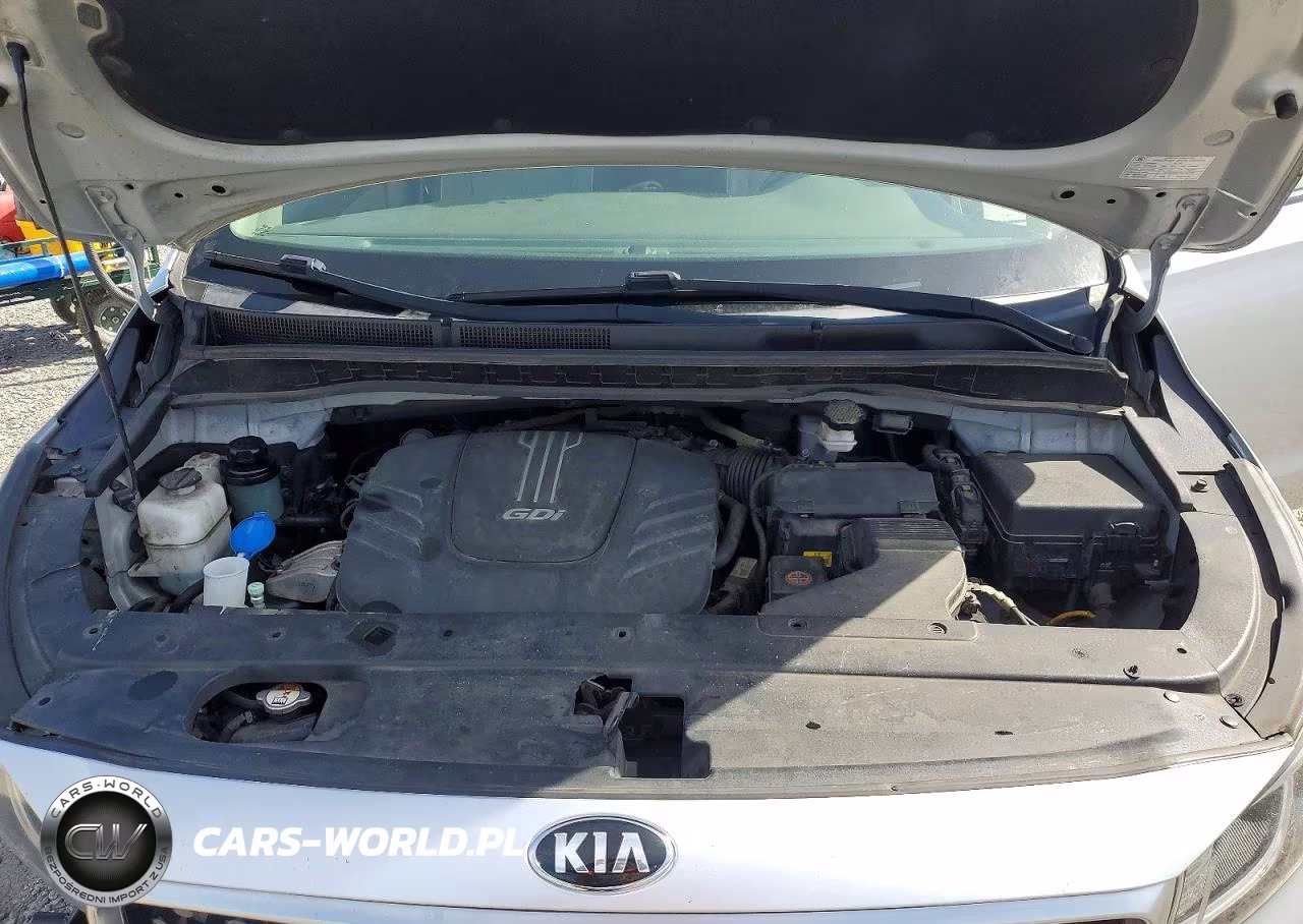 2017 Kia Sedona Ex VIN:KNDMC5C12H6259947 - 12