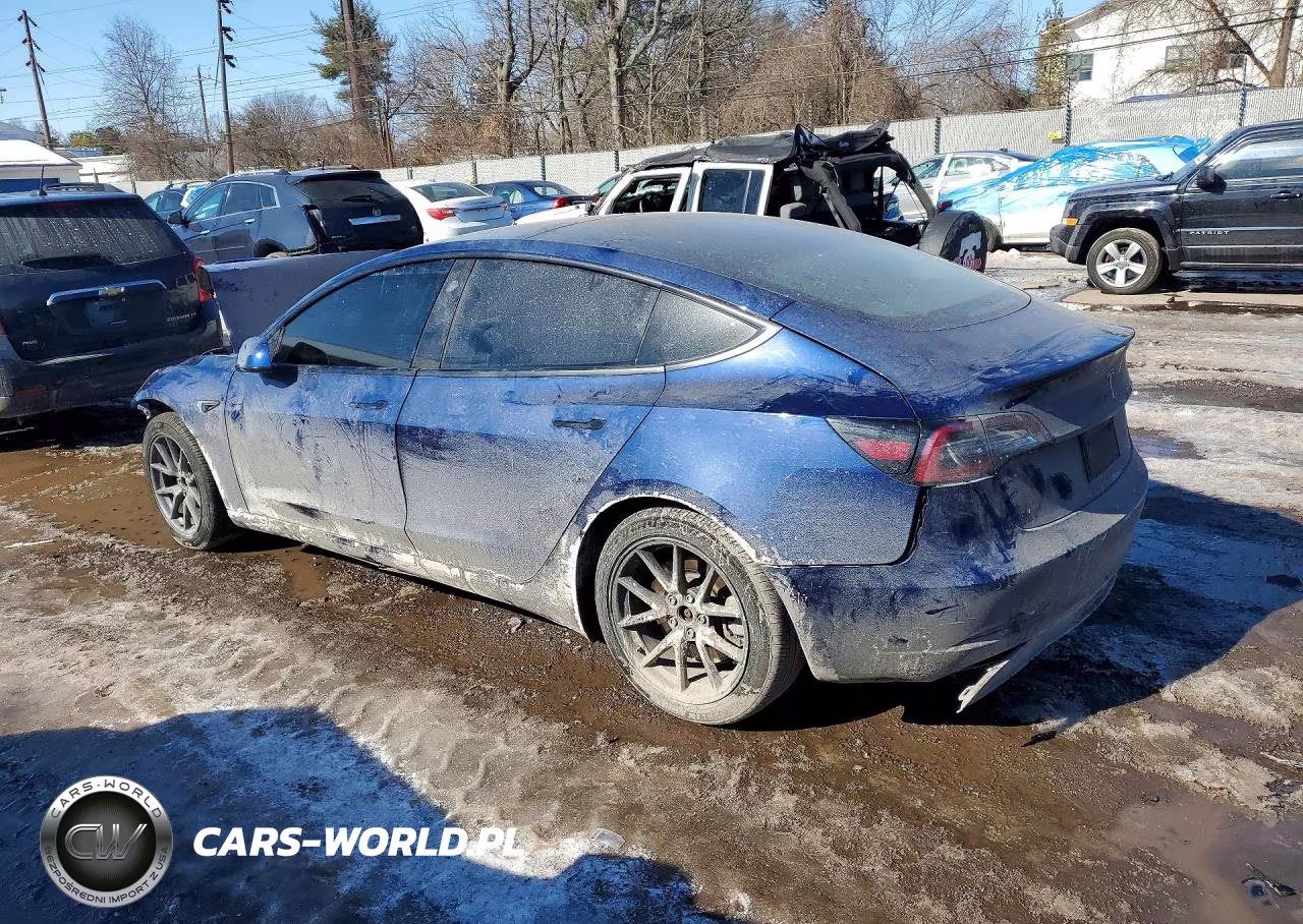 2021 Tesla Model 3 VIN:5YJ3E1EB8MF054958 - 2