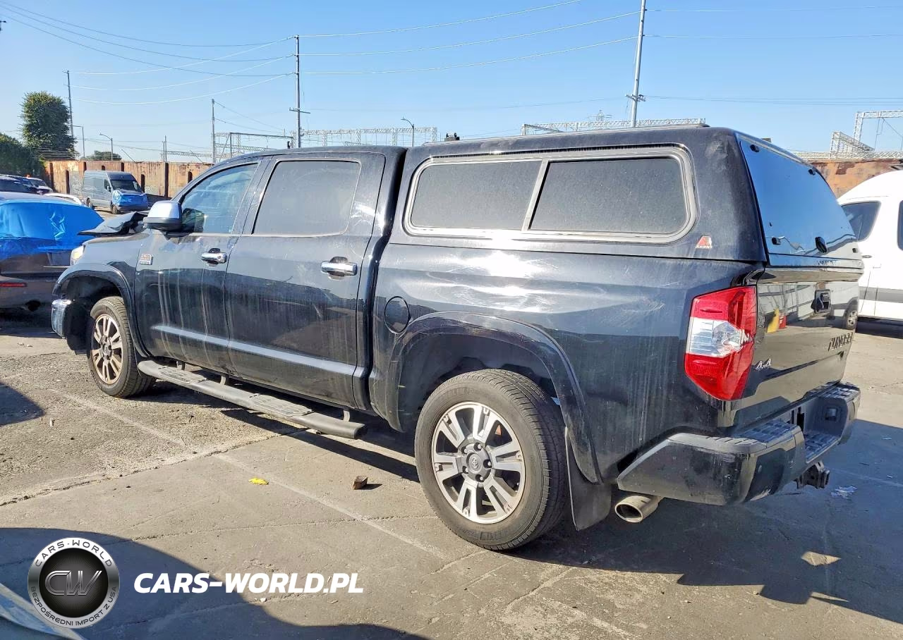 2019 Toyota Tundra 1794 Edition VIN:5TFAY5F15KX787497 - 2