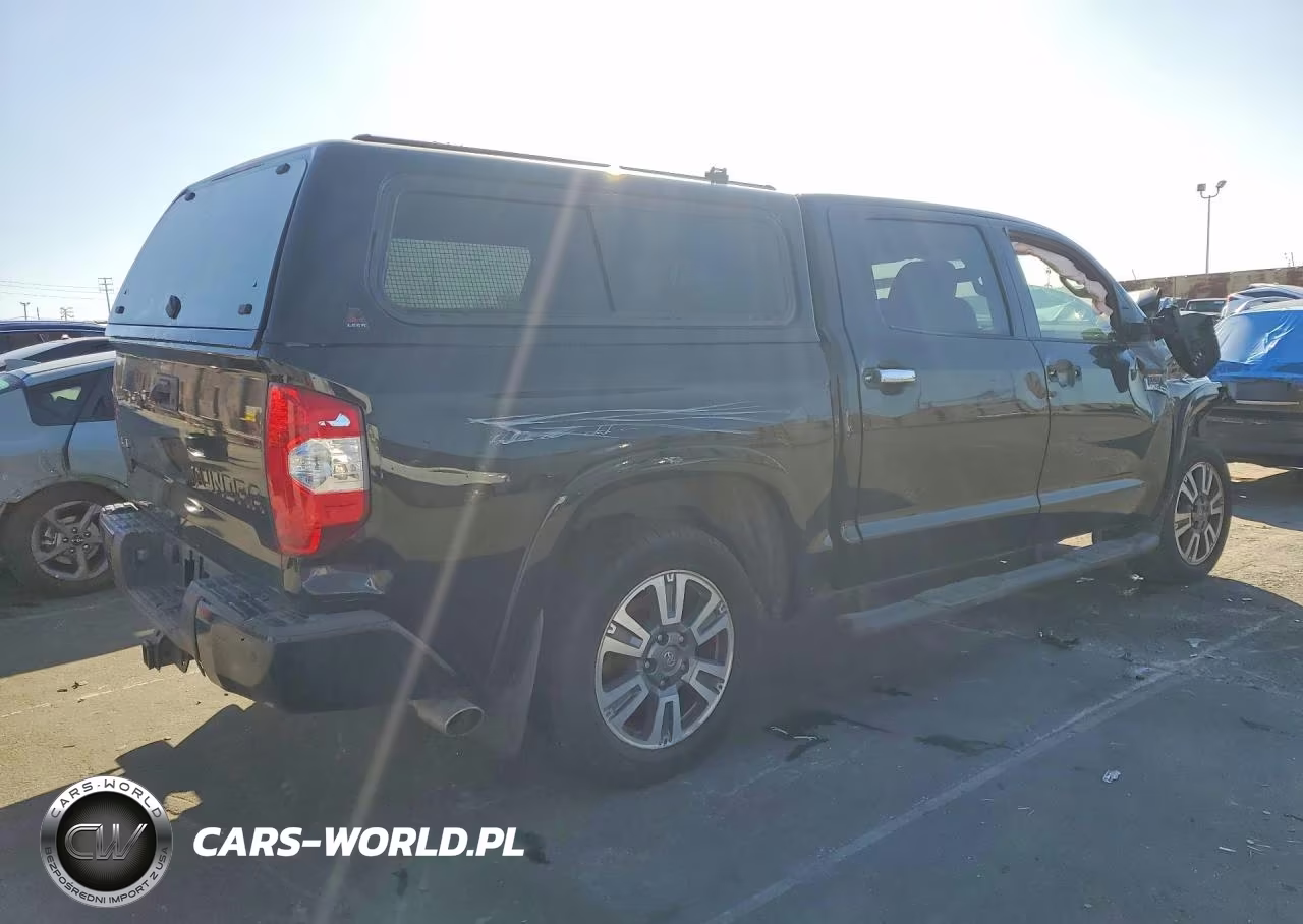 2019 Toyota Tundra 1794 Edition VIN:5TFAY5F15KX787497 - 3