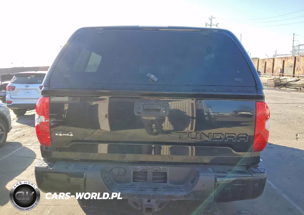 2019 Toyota Tundra 1794 Edition VIN:5TFAY5F15KX787497 - 6