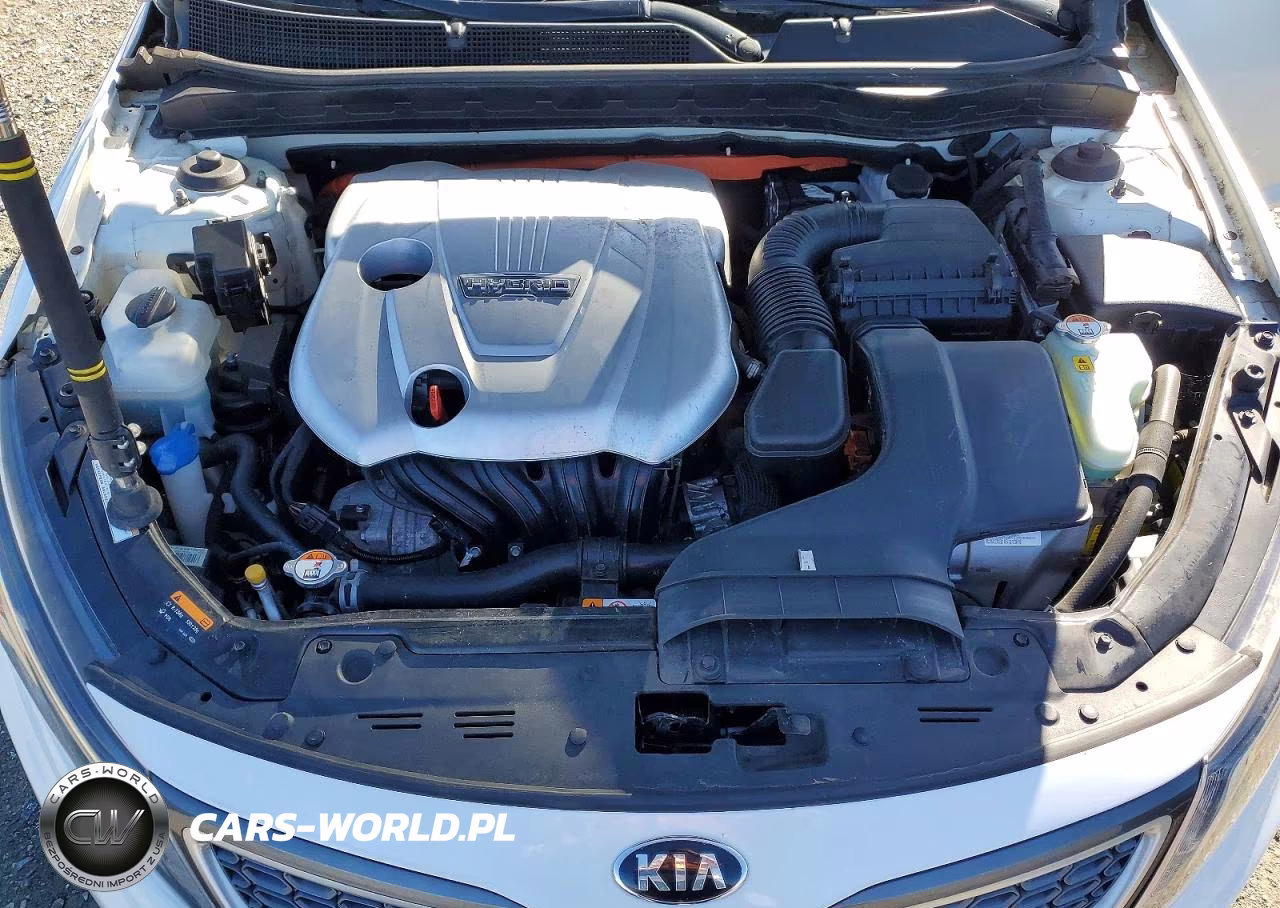 2016 Kia Optima Hybrid VIN:KNAGN4AD8G5099010 - 11