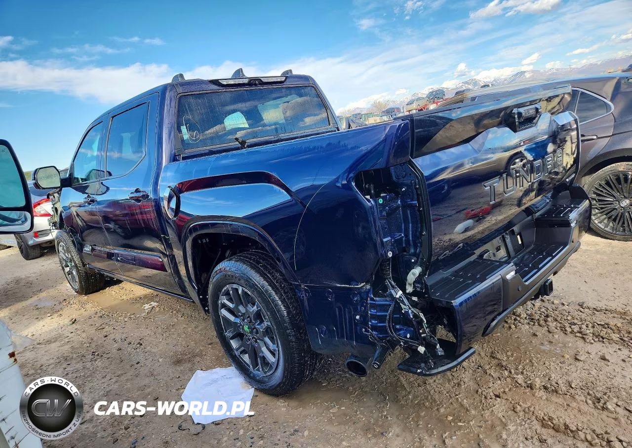 2025 Toyota Tundra Platinum Hv VIN:5TFNC5DB6SX107702 - 2