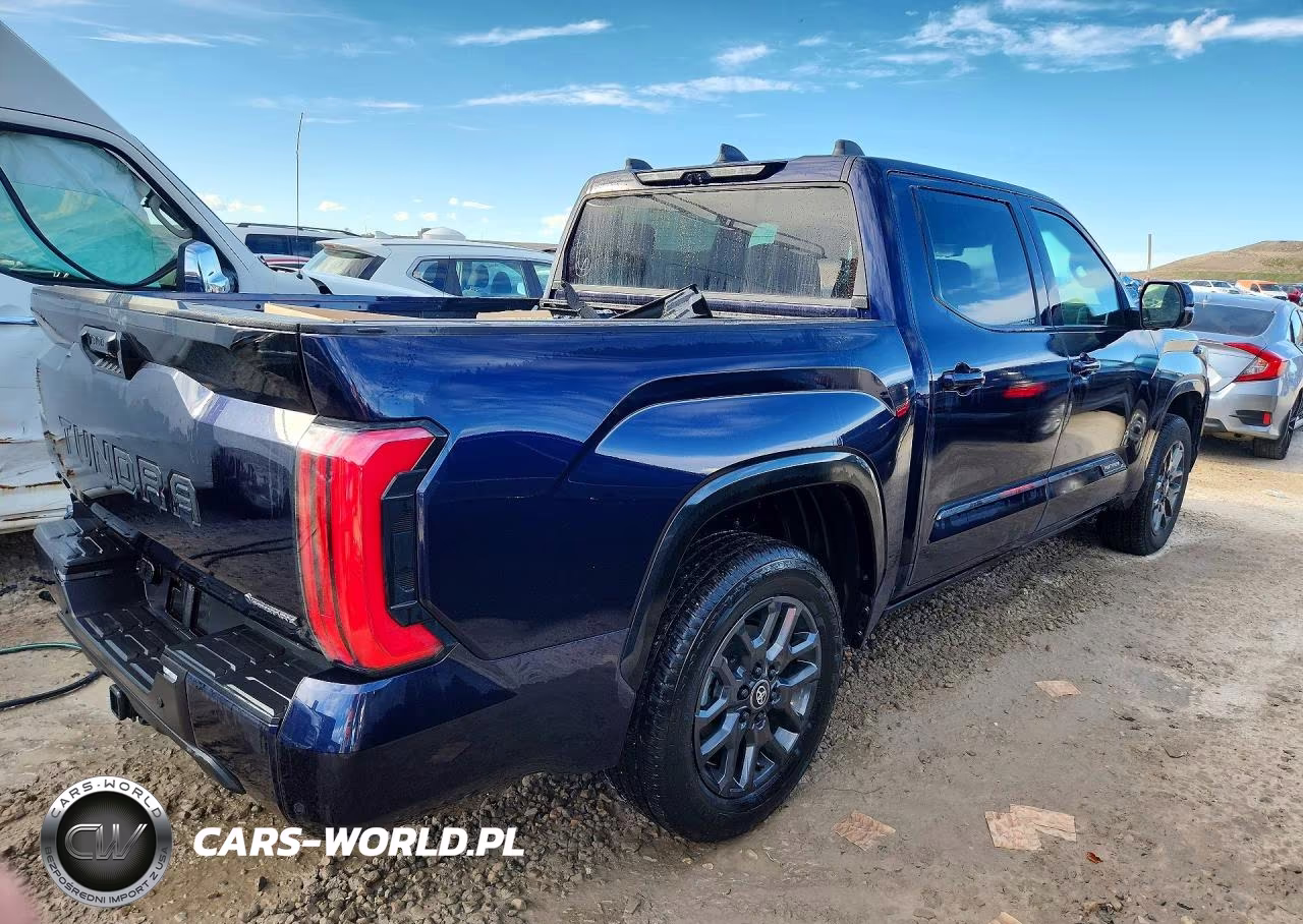 2025 Toyota Tundra Platinum Hv VIN:5TFNC5DB6SX107702 - 3
