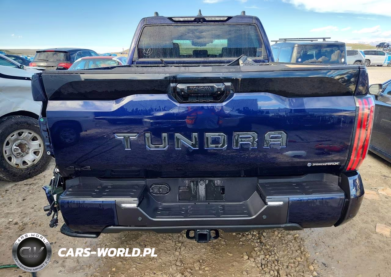 2025 Toyota Tundra Platinum Hv VIN:5TFNC5DB6SX107702 - 6