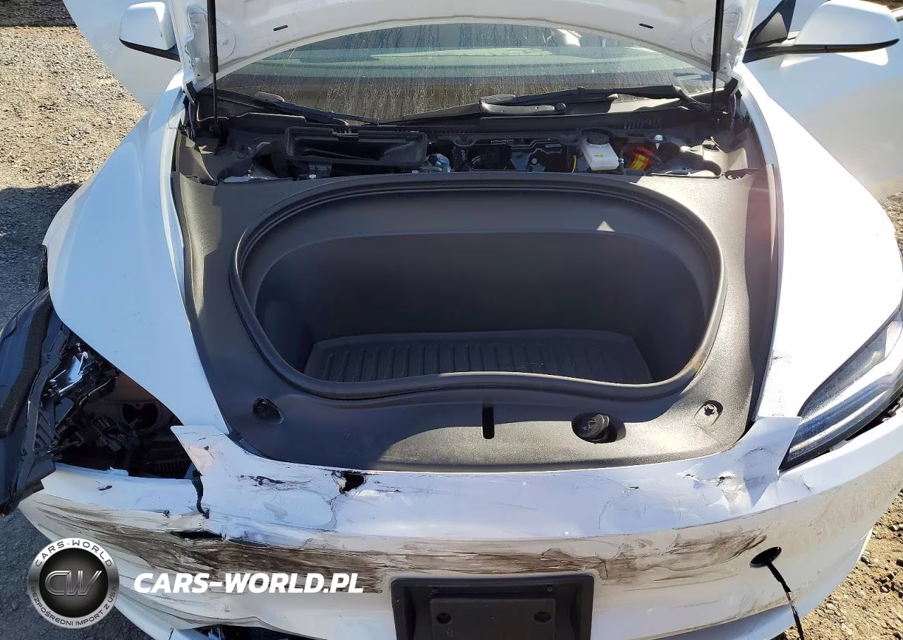 2025 Tesla Model 3 VIN:5YJ3E1EA4SF975496 - 11