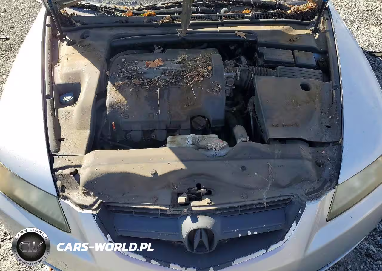 2006 Acura 3.2Tl VIN:19UUA662X6A051701 - 11