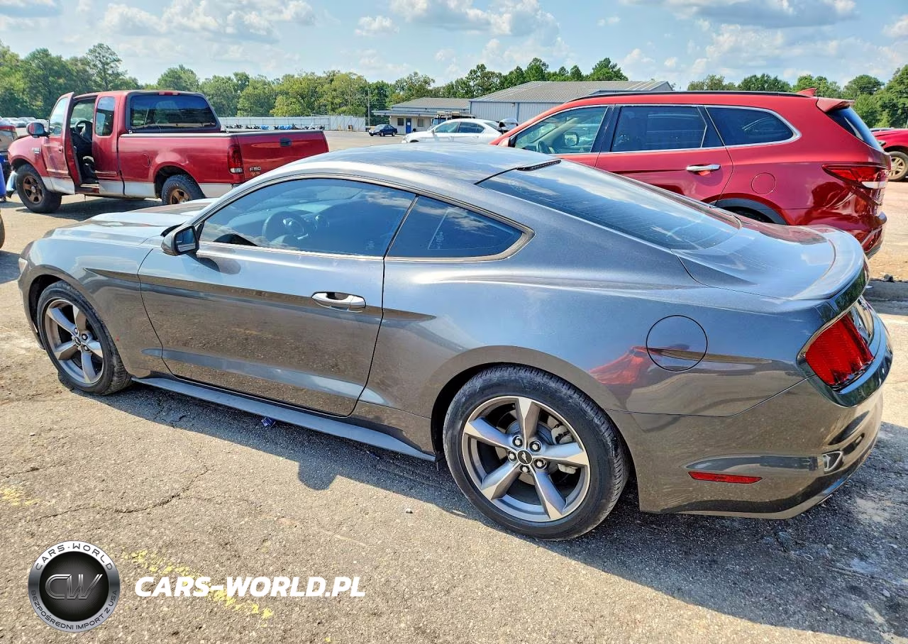 2017 Ford Mustang VIN:1FA6P8TH2H5345766 - 2