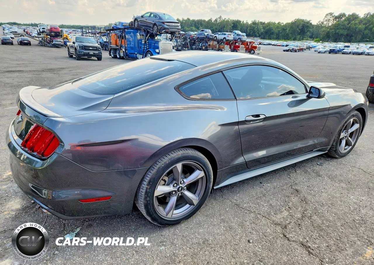 2017 Ford Mustang VIN:1FA6P8TH2H5345766 - 3