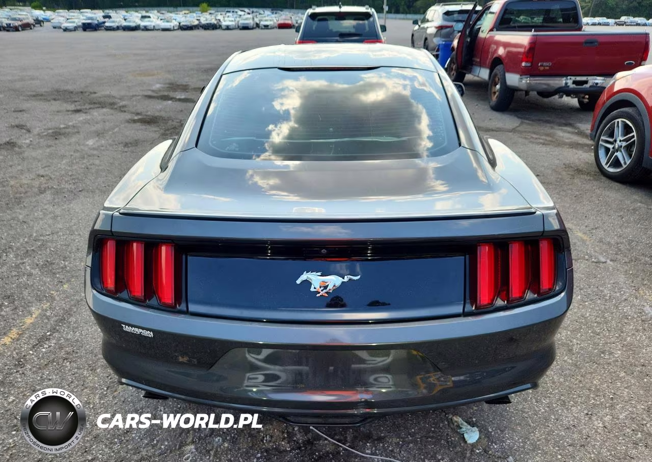2017 Ford Mustang VIN:1FA6P8TH2H5345766 - 6