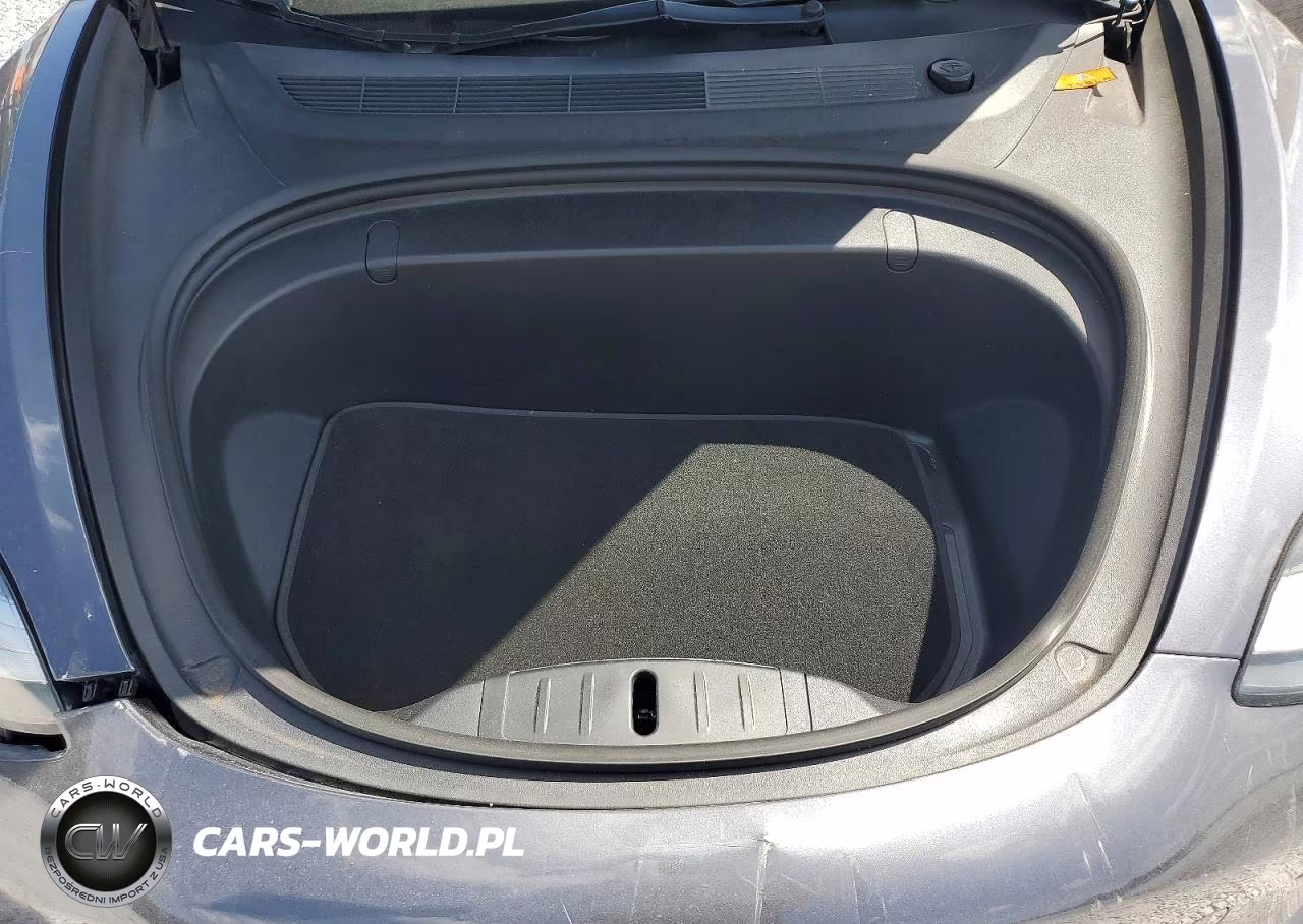 2019 Tesla Model 3 VIN:5YJ3E1EA3KF331245 - 11