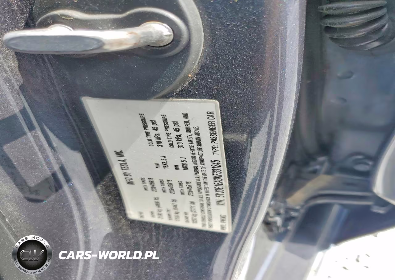 2019 Tesla Model 3 VIN:5YJ3E1EA3KF331245 - 12