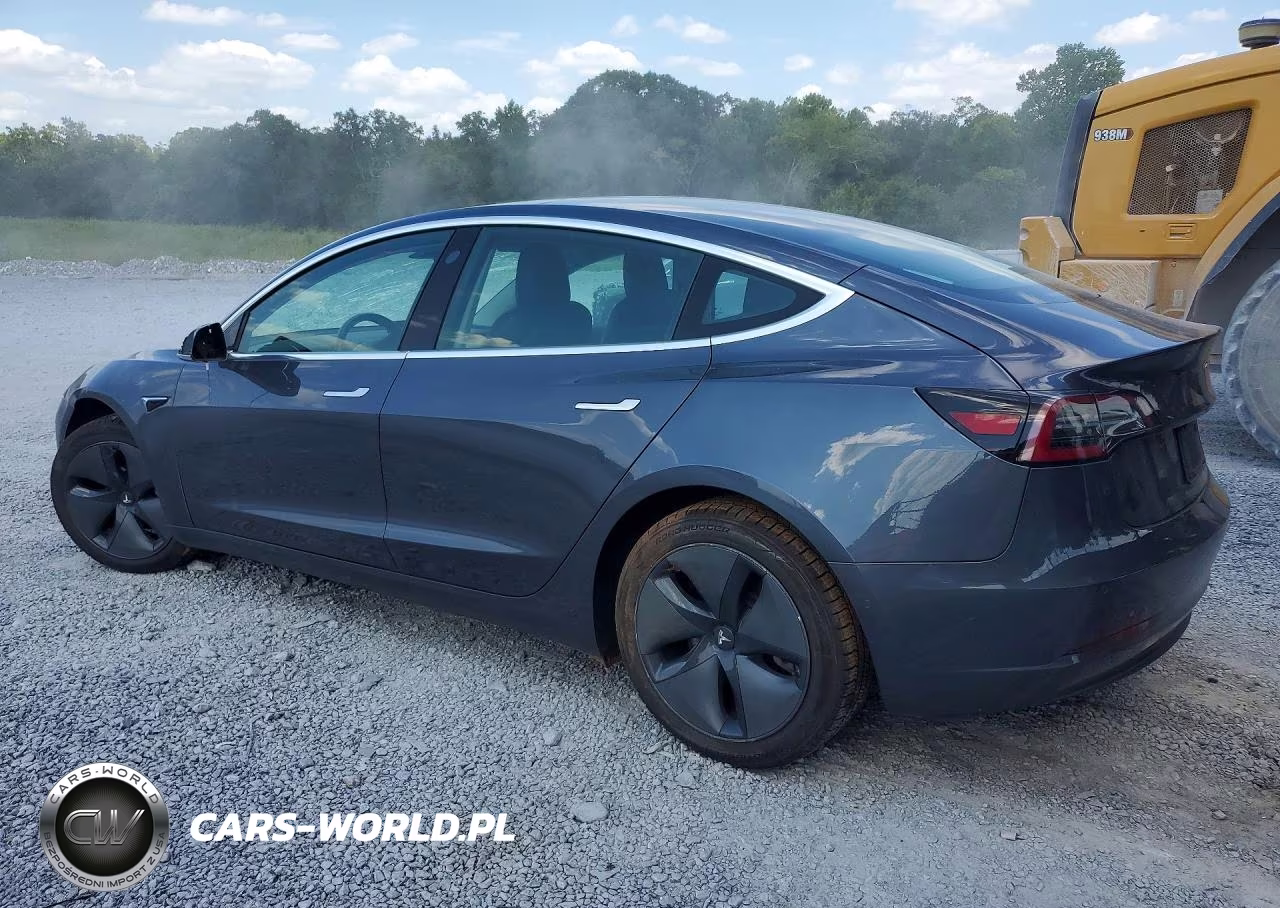 2019 Tesla Model 3 VIN:5YJ3E1EA3KF331245 - 2