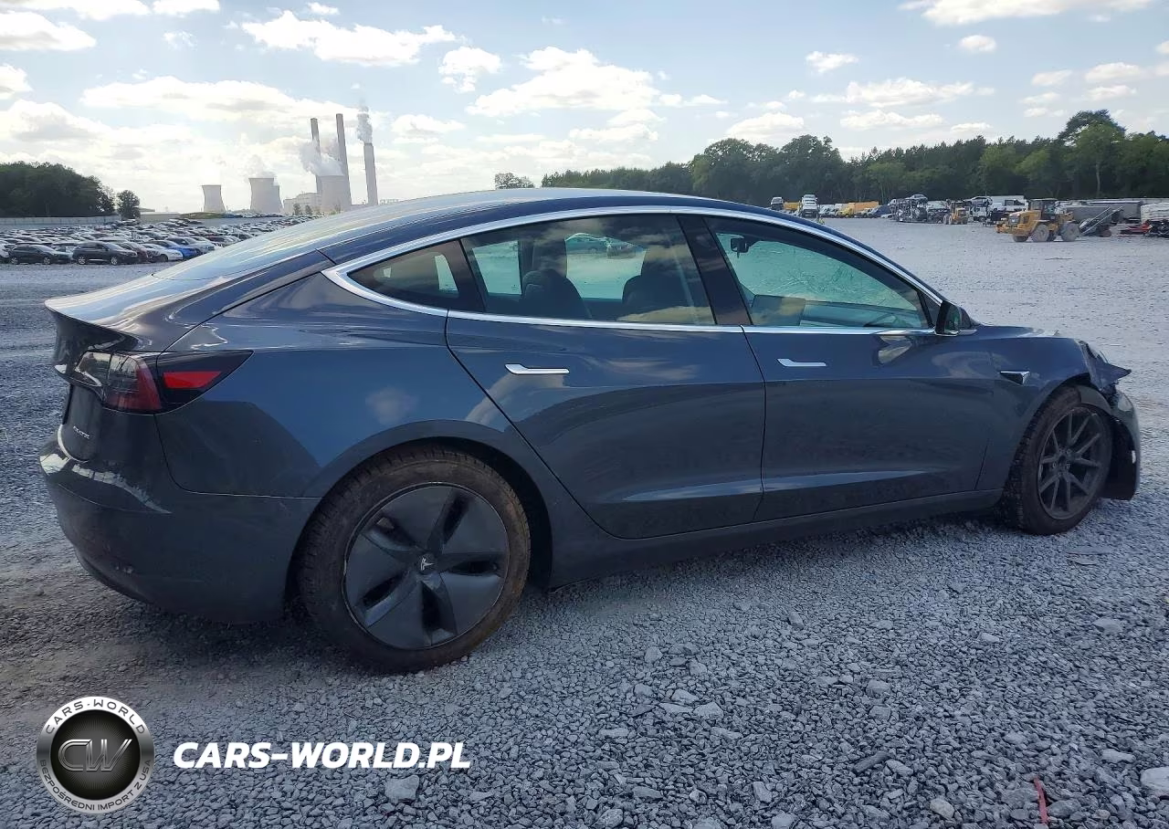 2019 Tesla Model 3 VIN:5YJ3E1EA3KF331245 - 3