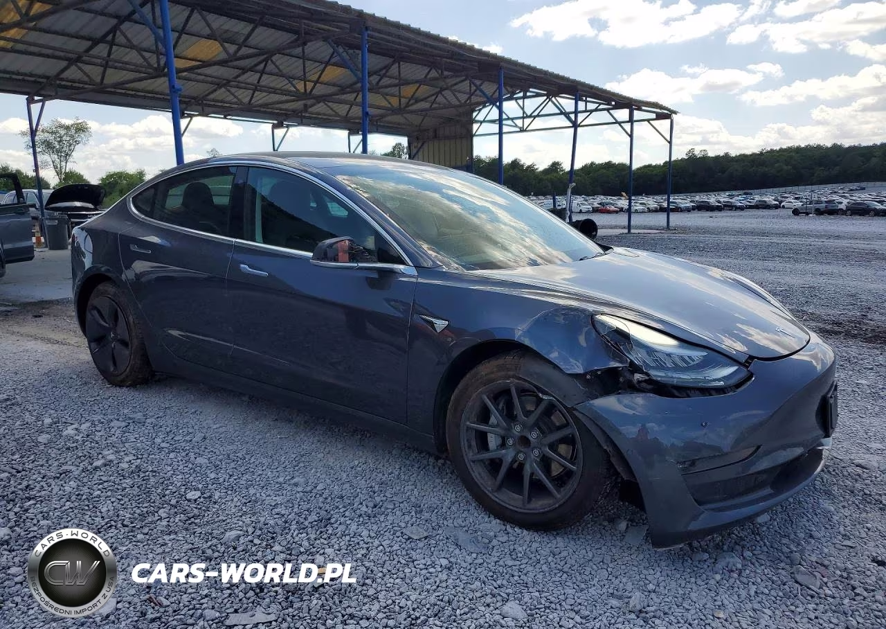 2019 Tesla Model 3 VIN:5YJ3E1EA3KF331245 - 4