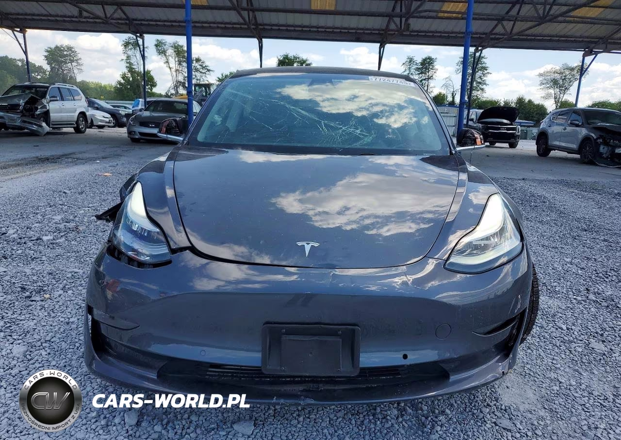2019 Tesla Model 3 VIN:5YJ3E1EA3KF331245 - 5