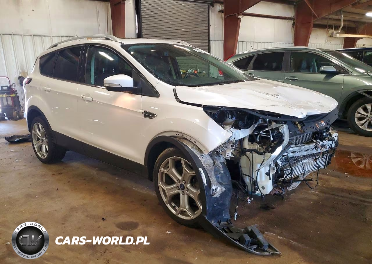 2017 Ford Escape Titanium VIN:1FMCU9J96HUB99882 - 4