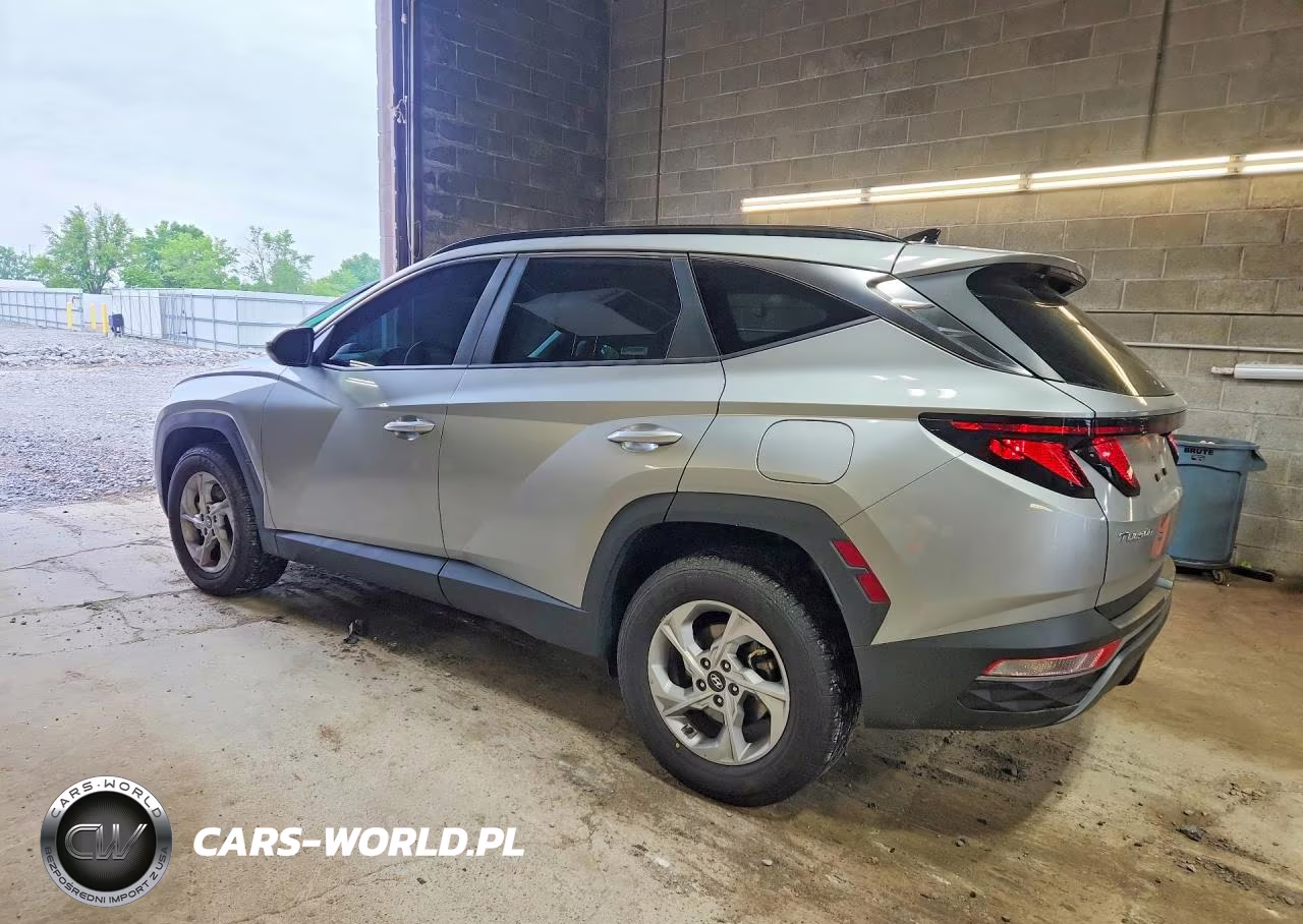 2024 Hyundai Tucson Sel VIN:5NMJBCDE5RH316481 - 2