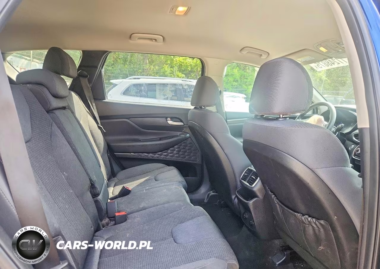 2019 Hyundai Santa Fe Sel 2.4L VIN:5NMS3CAD8KH095185 - 11