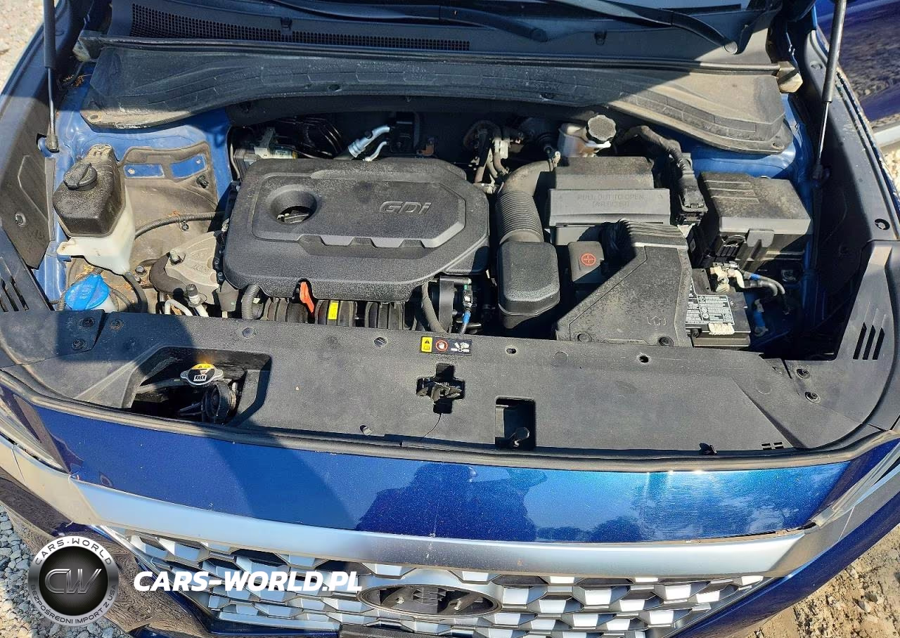 2019 Hyundai Santa Fe Sel 2.4L VIN:5NMS3CAD8KH095185 - 12
