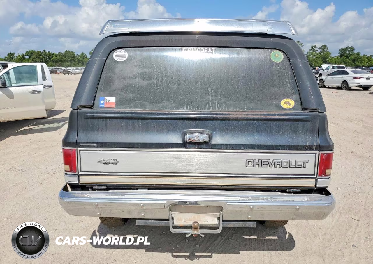 1987 Chevrolet Blazer V10 VIN:1GNEV18KXHF171096 - 6
