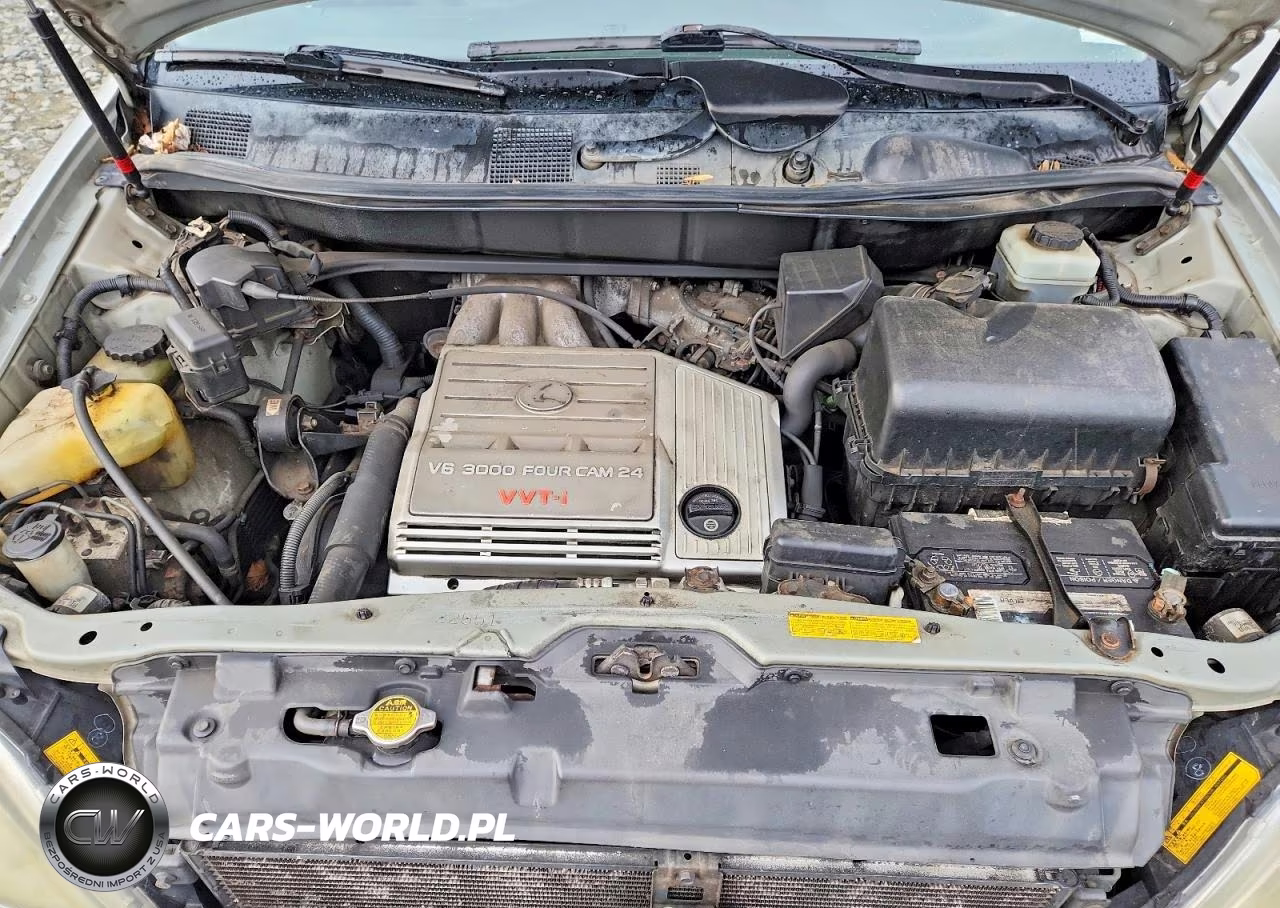 2003 Lexus Rx 300 VIN:JTJHF10U930306058 - 12