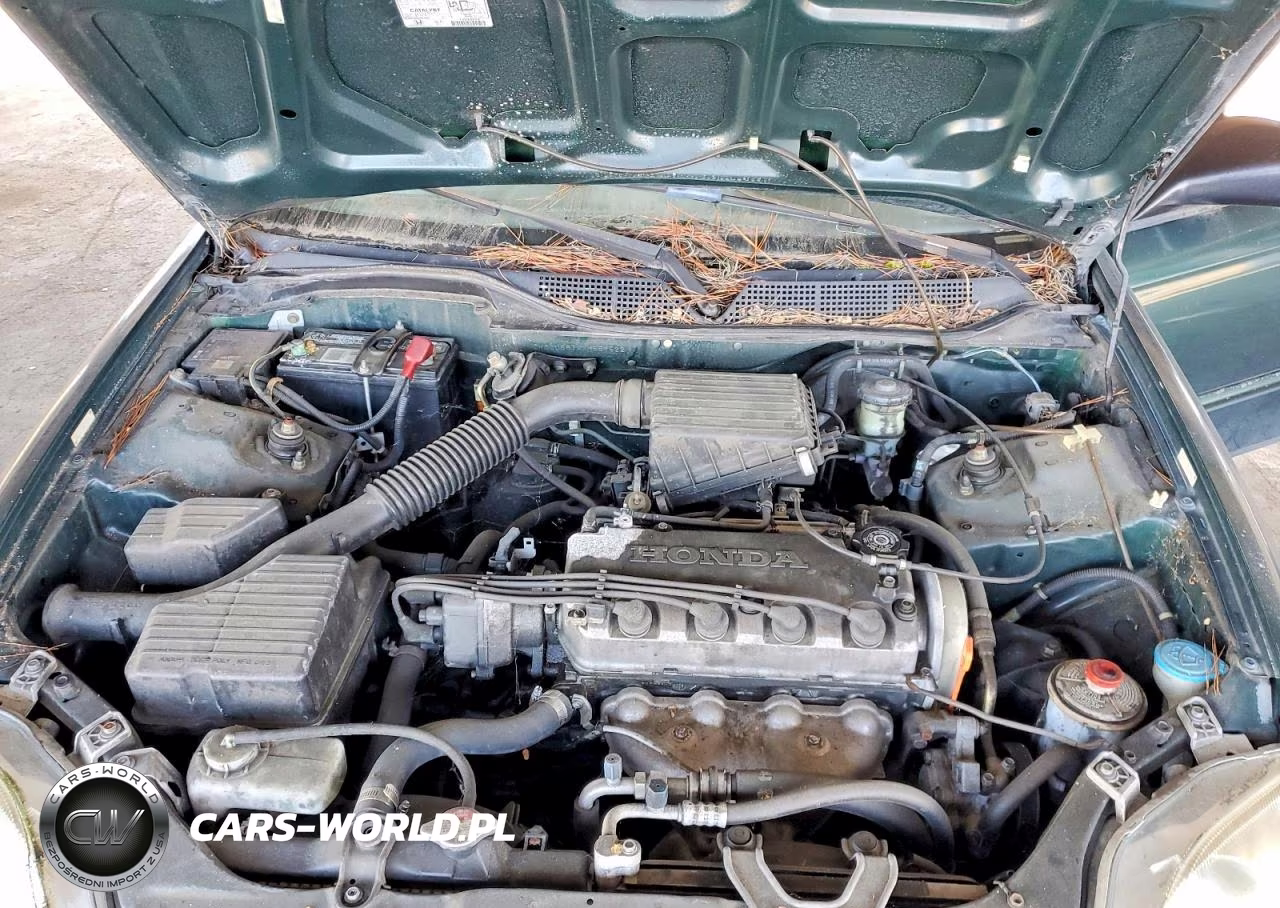 1999 Honda Civic VIN:2HGEJ661XXH559522 - 11