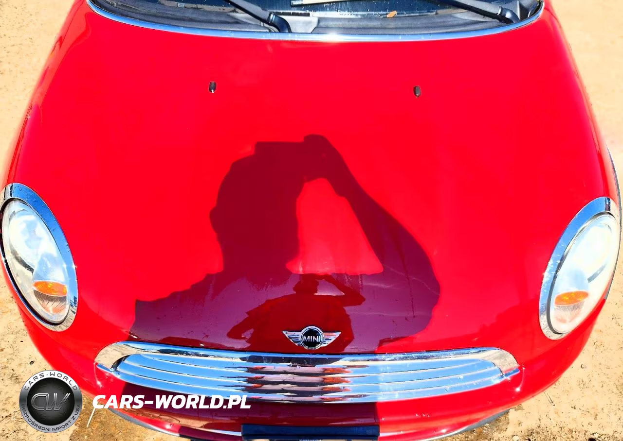 2013 Mini Cooper VIN:WMWSU3C56DT687105 - 11