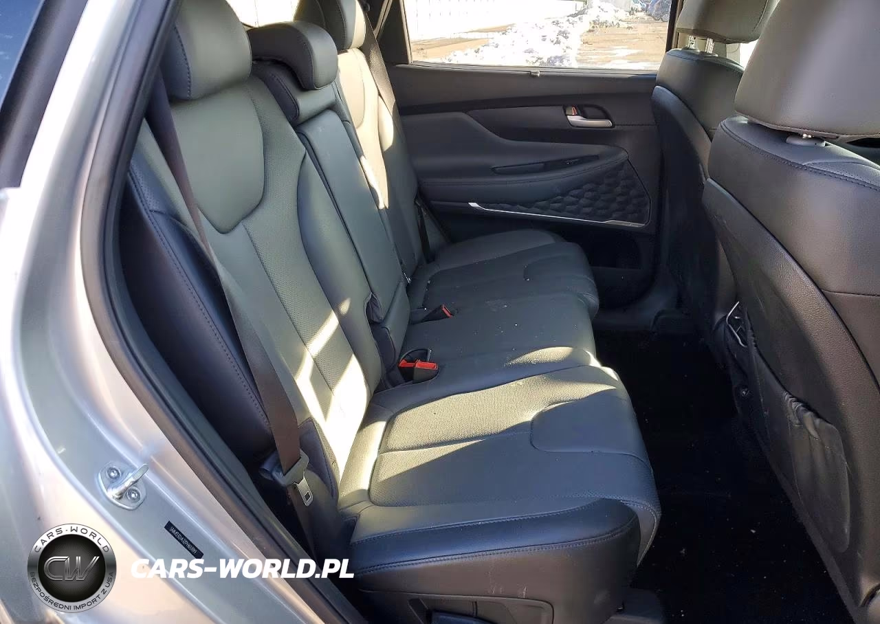 2023 Hyundai Santa Fe Sel Premium VIN:5NMS3DAJ2PH651199 - 11