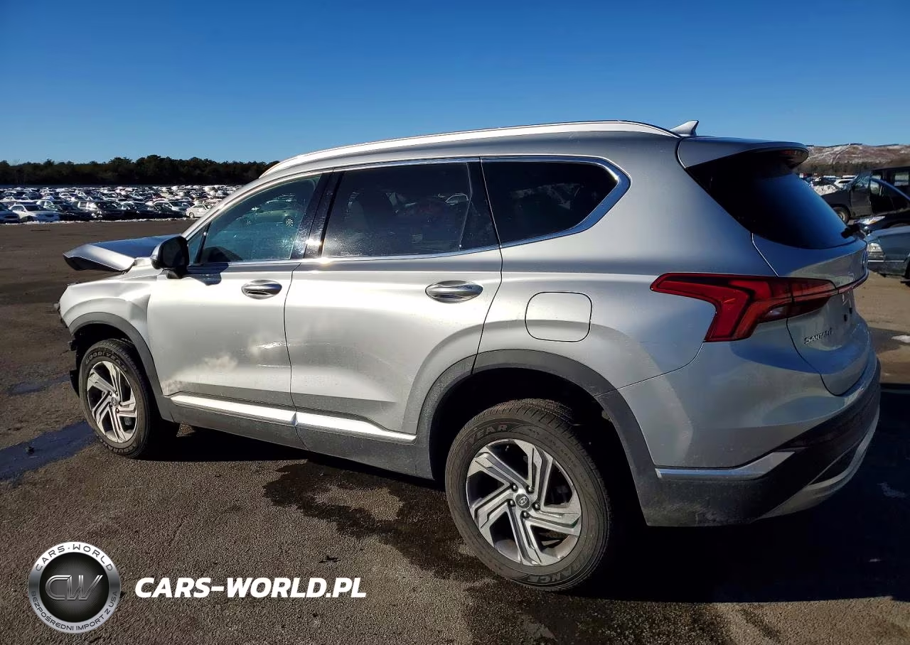 2023 Hyundai Santa Fe Sel Premium VIN:5NMS3DAJ2PH651199 - 2