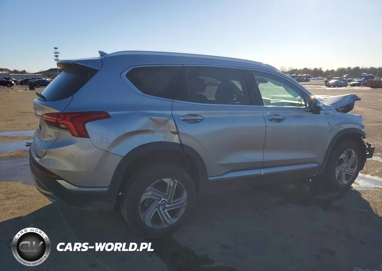 2023 Hyundai Santa Fe Sel Premium VIN:5NMS3DAJ2PH651199 - 3