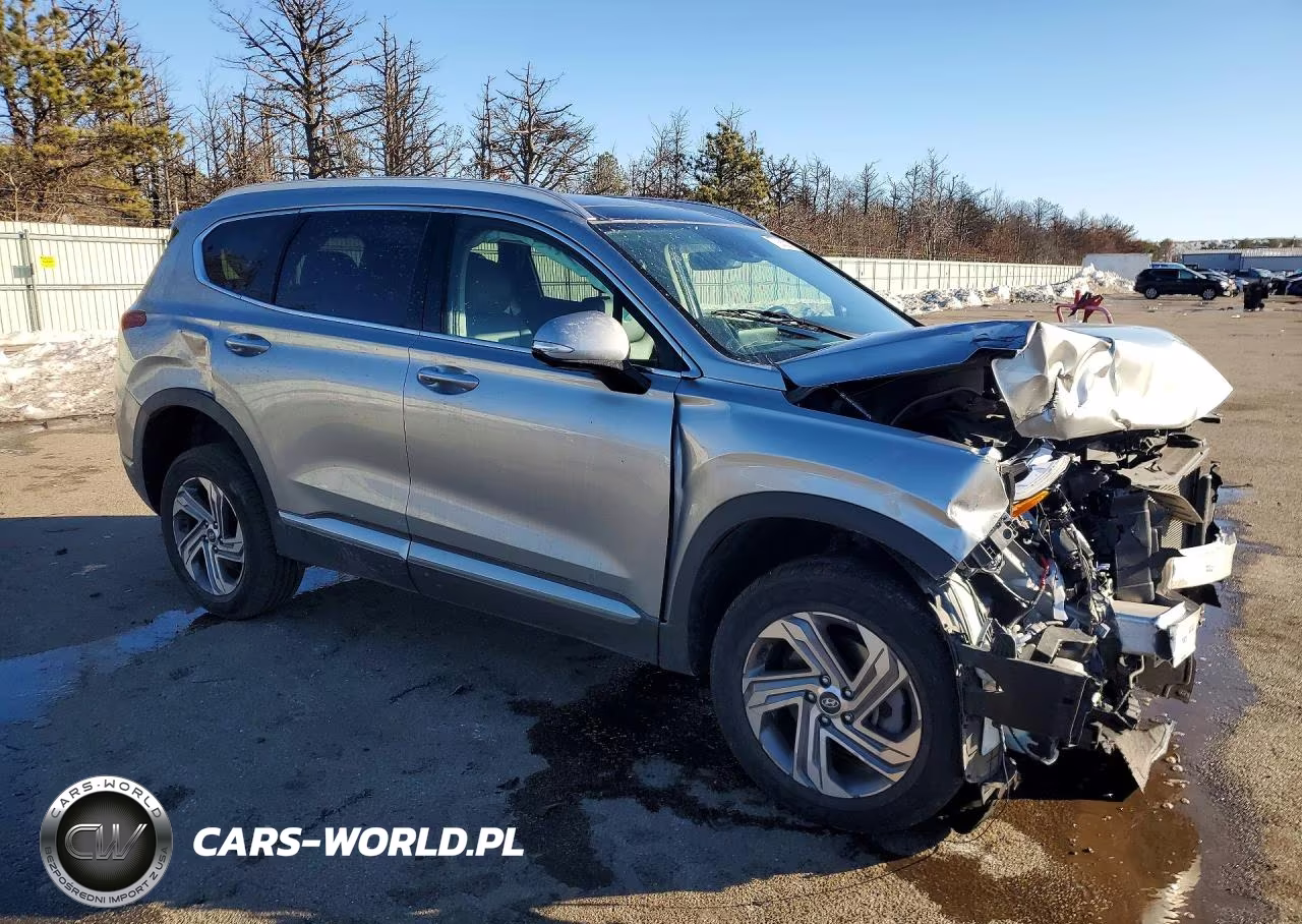 2023 Hyundai Santa Fe Sel Premium VIN:5NMS3DAJ2PH651199 - 4