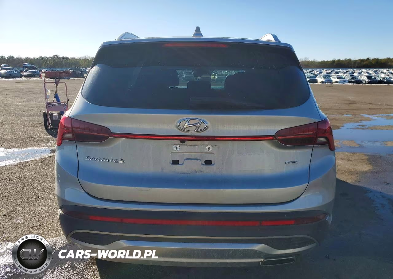 2023 Hyundai Santa Fe Sel Premium VIN:5NMS3DAJ2PH651199 - 6