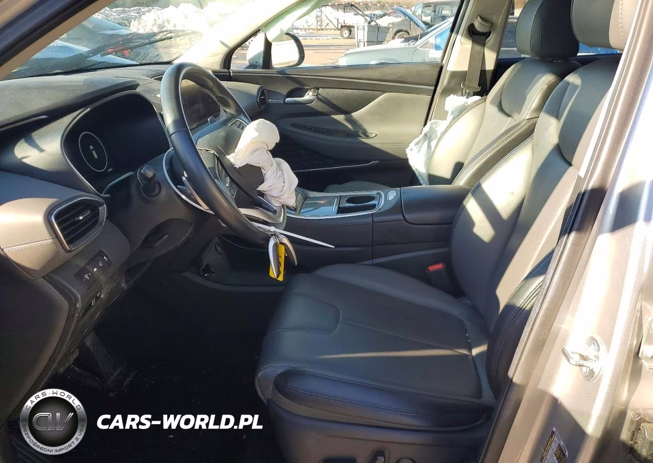 2023 Hyundai Santa Fe Sel Premium VIN:5NMS3DAJ2PH651199 - 7